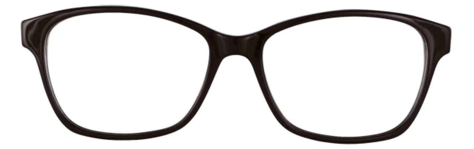 Via Spiga VSGinerva Eyeglasses - Black - view 8
